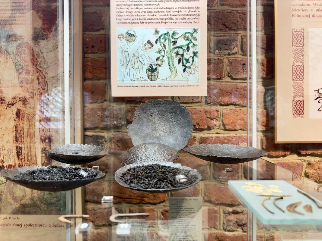 Вроцлавский археологический музей