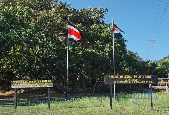 Национальный Парк Пало Верде