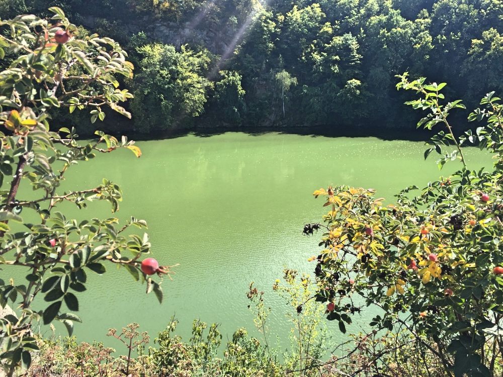 Река Тетерев