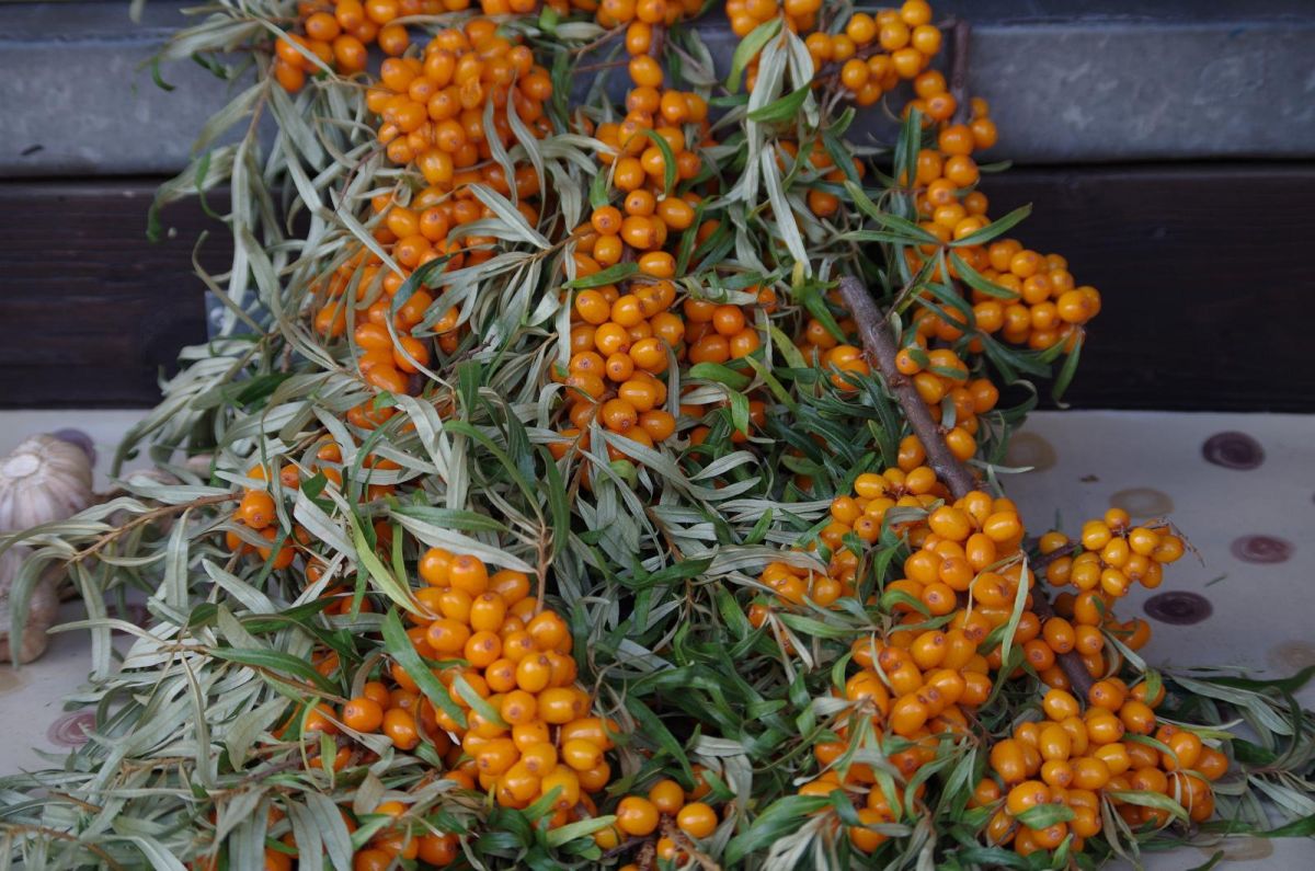 Центральный рынок Тарту