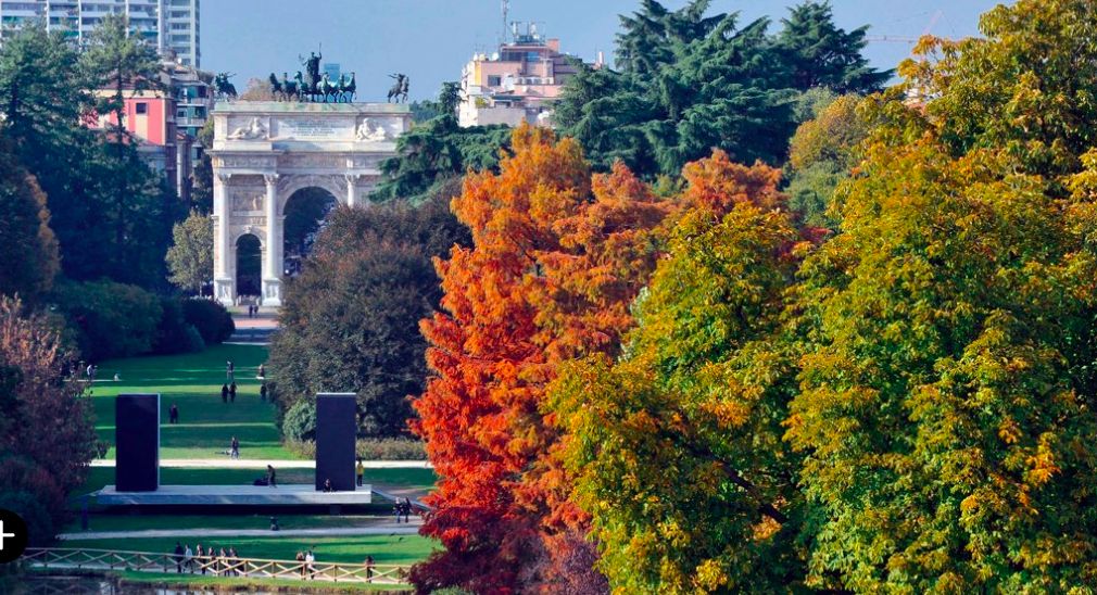 Сделайте паузу, чтобы полюбоваться вращающим... фото