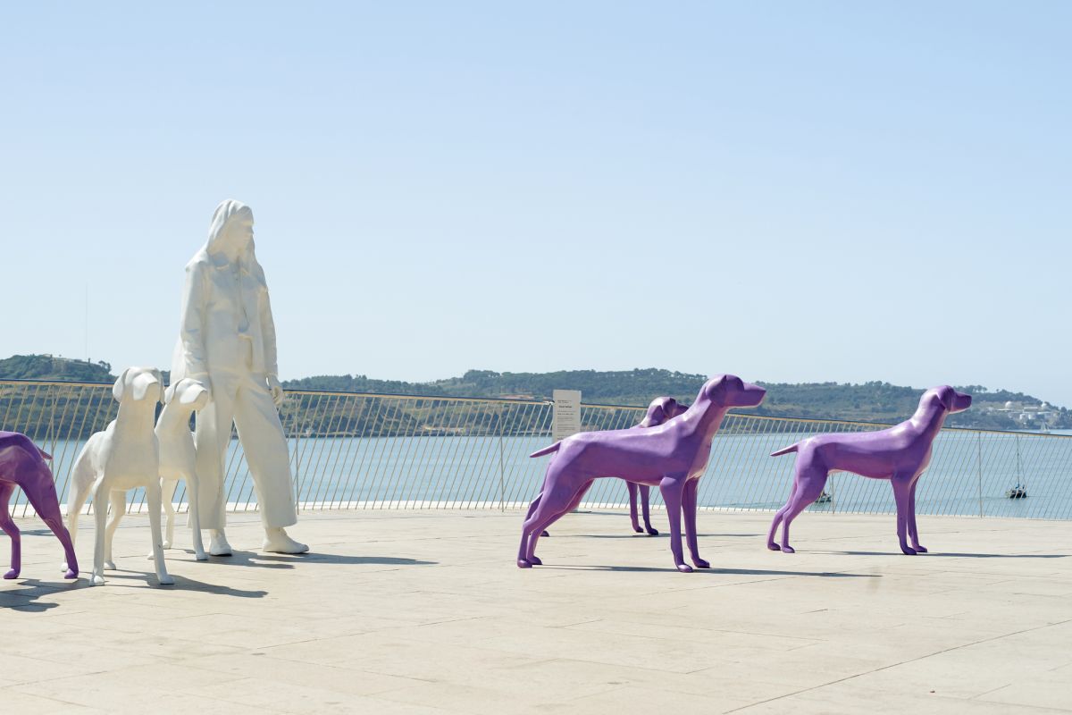 Музей искусства, архитектуры и технологии (MAAT)