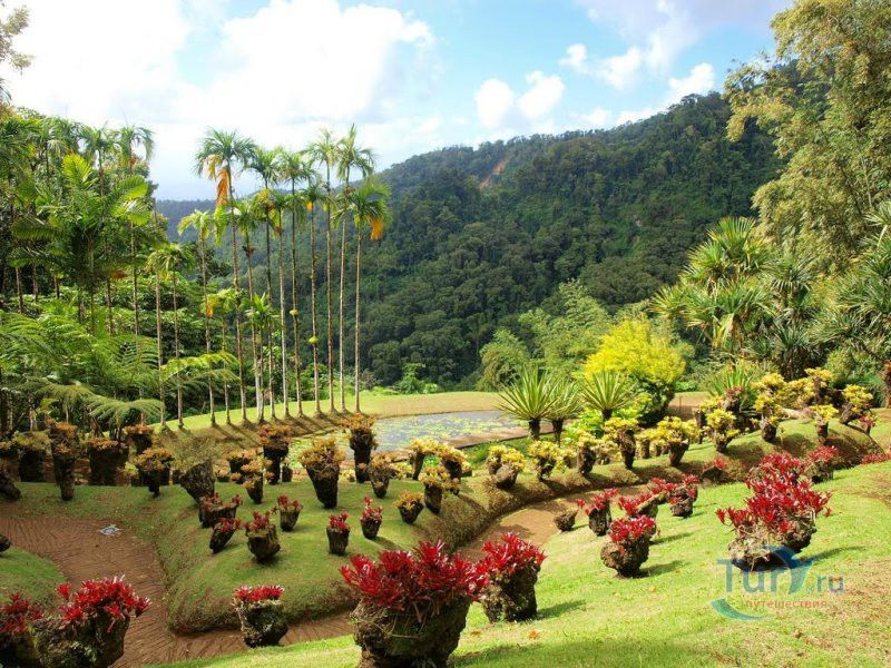 Ботанический сад Балата