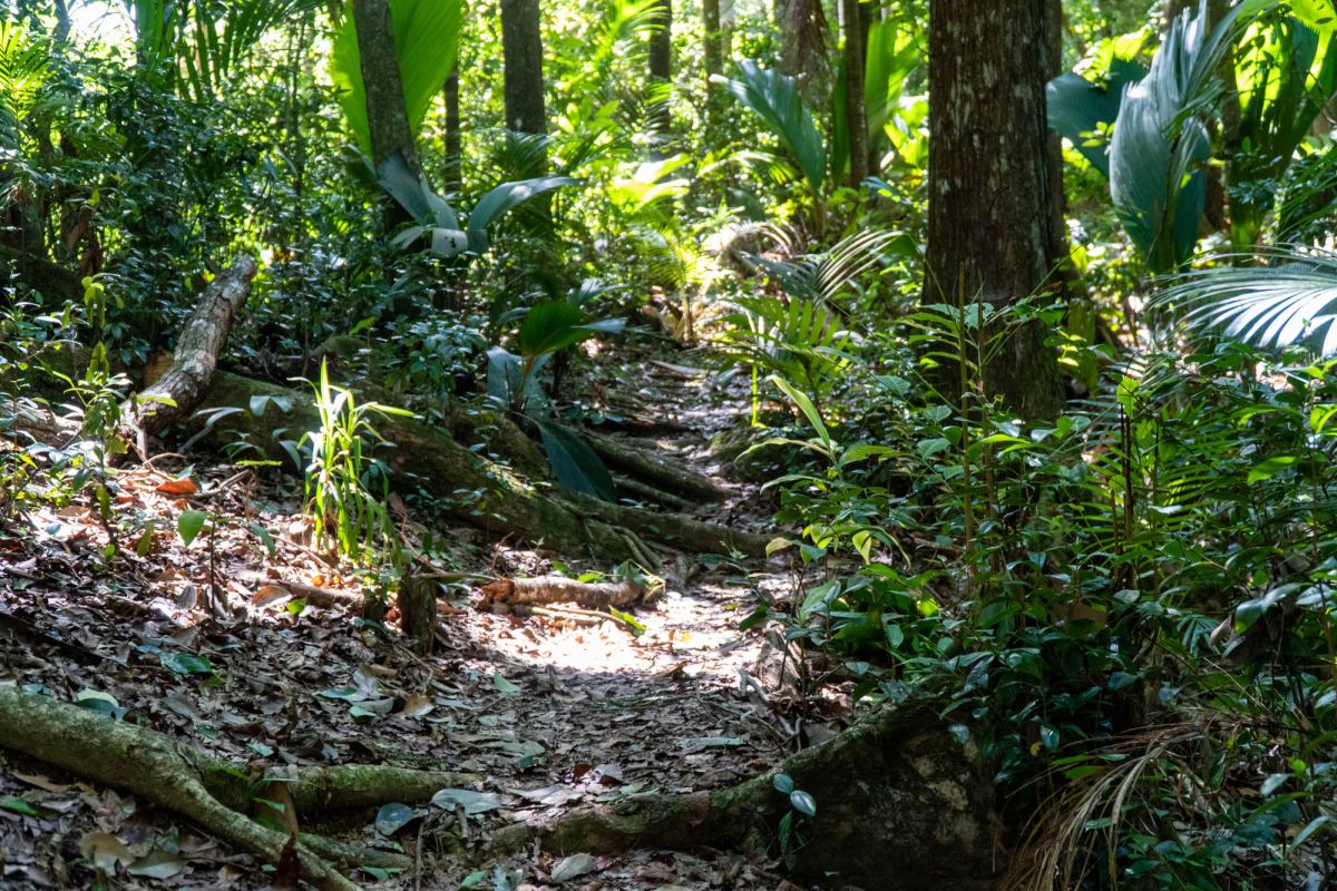 Гласис Ла Резерв Трейл