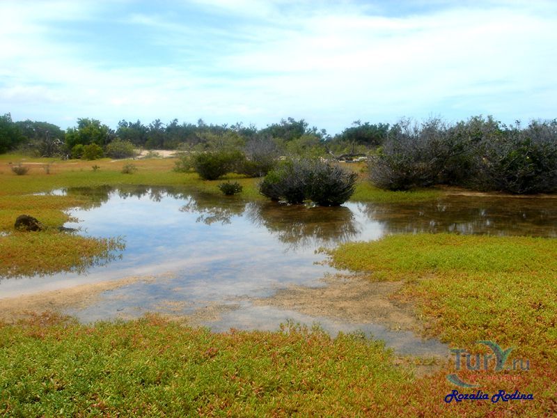 Безмолвная Парниковая долина