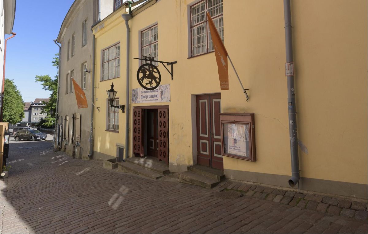 Музей Адамсона-Эрика