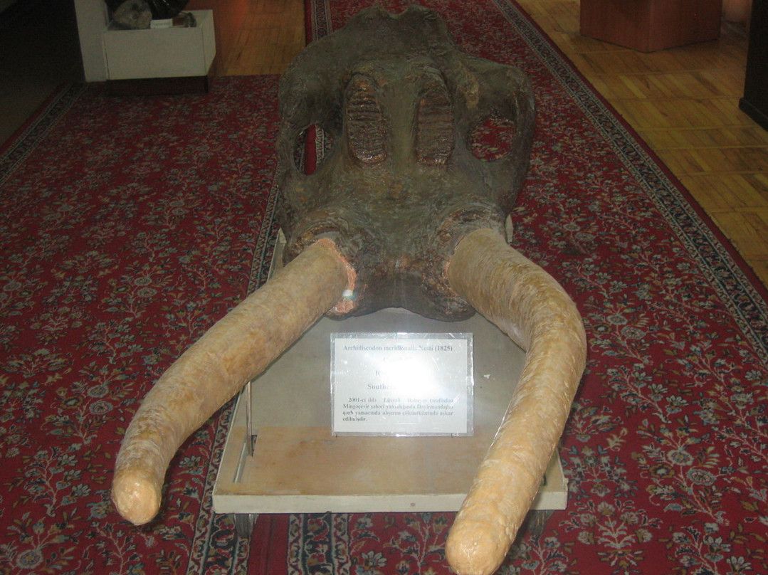 Музей Естественной Истории Имени Хасан бей Зардаби