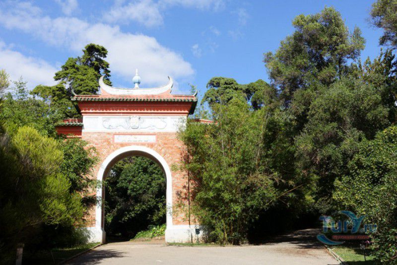 Тропический Ботанический Сад