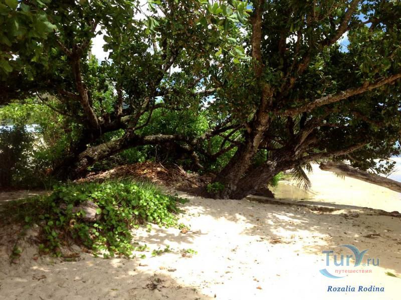 Пляж Анс-о-Пен и бухта Тартл