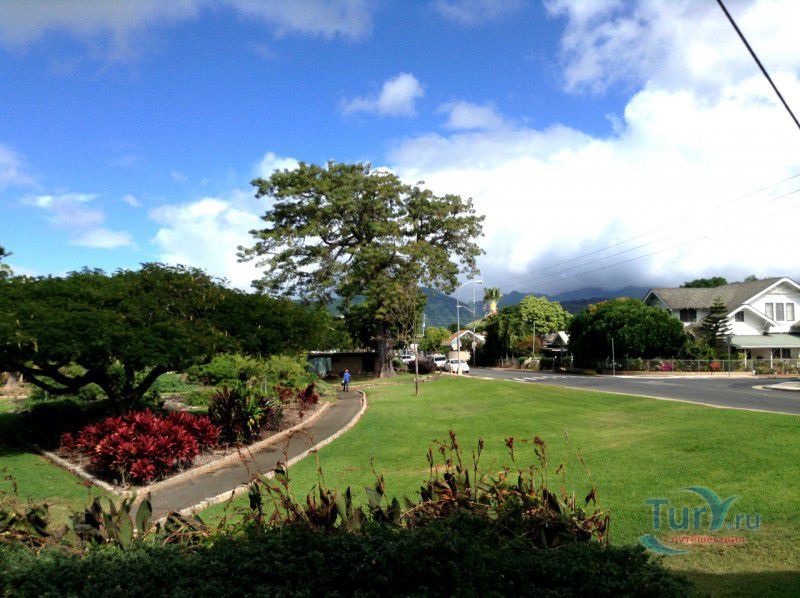 Ботанический сад Queen Kapiolani Garden в Гонолулу