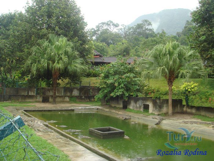 Крокодиловая ферма Crocodile Farm  Langkawi