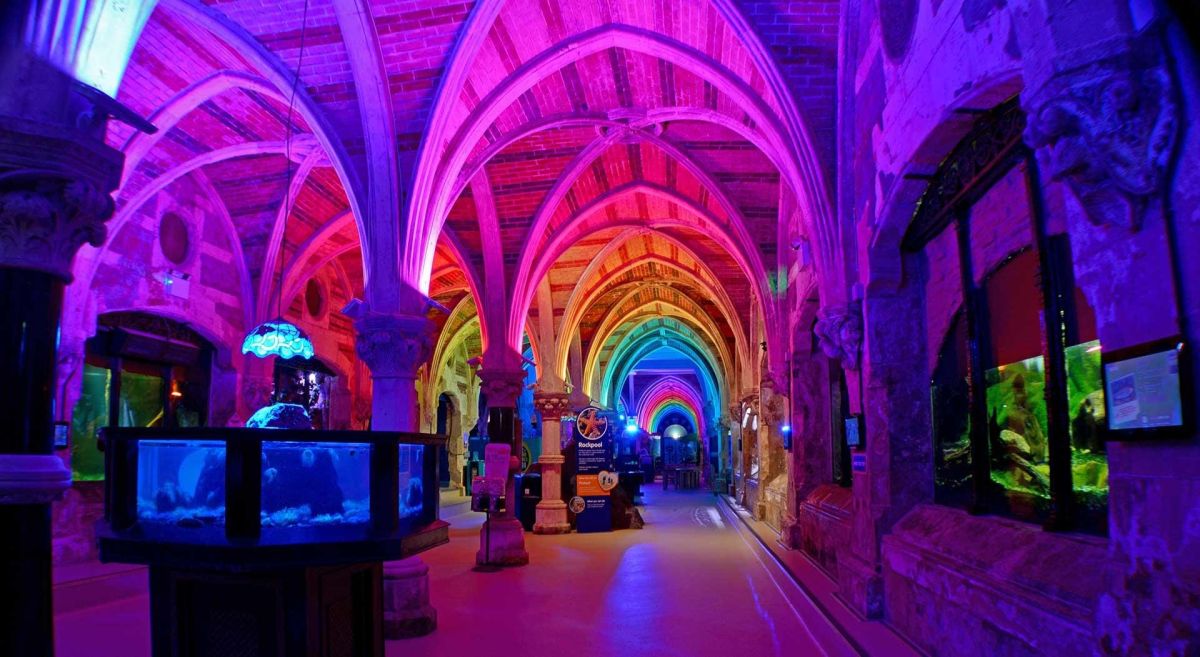 Морской заповедник Ханстэнтон