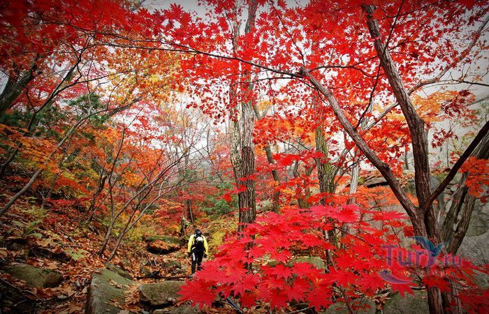 Национальный Парк Пукхансан