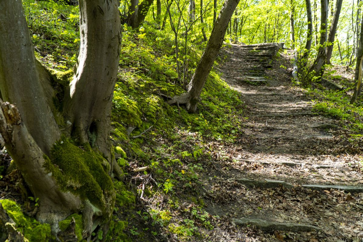 Пешеходный маршрут по южной стороне Тетерева