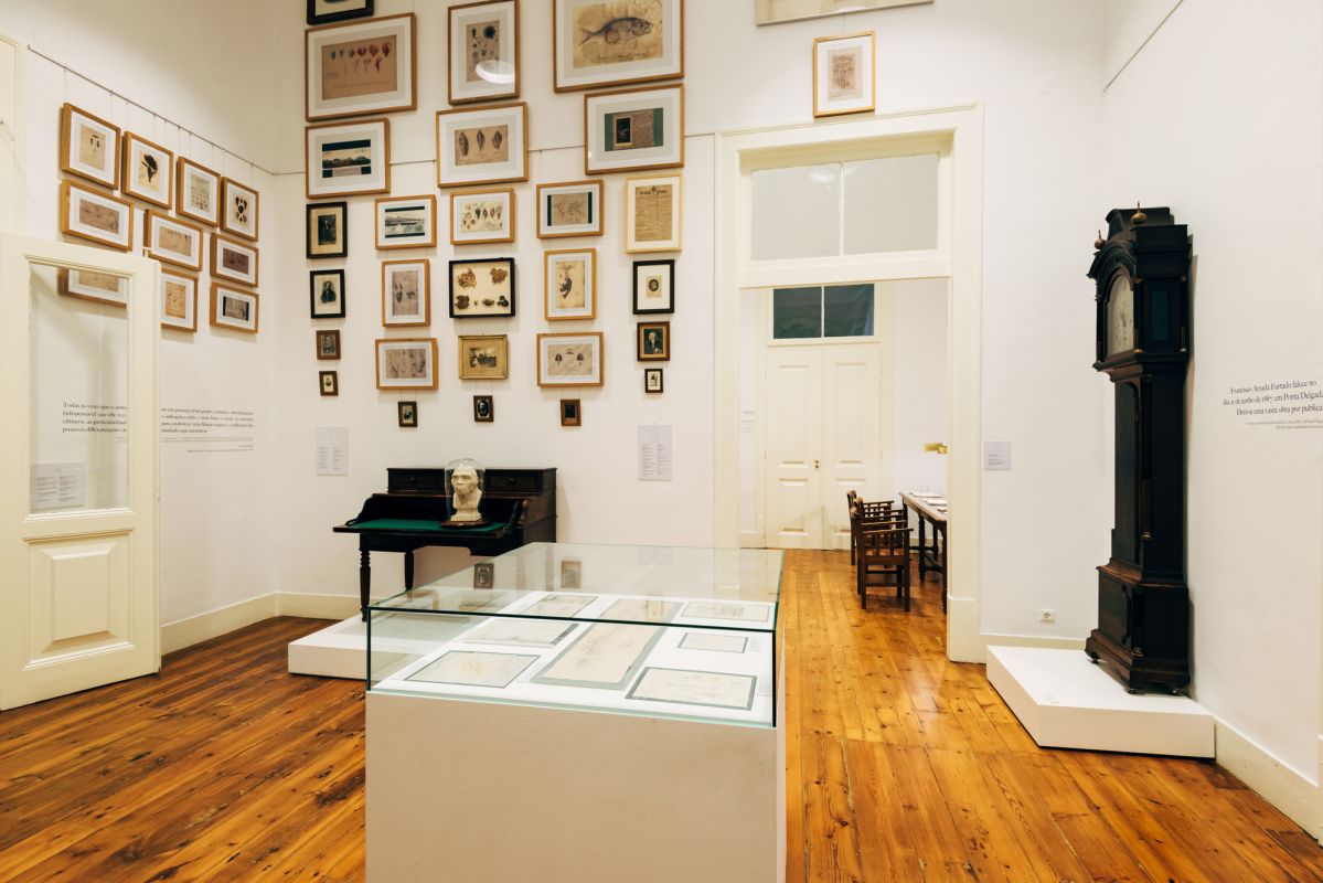 Национальный музей естественной истории и науки