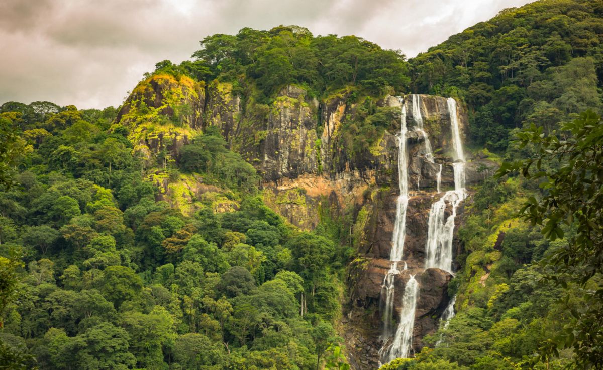 Национальный парк Удзунгва
