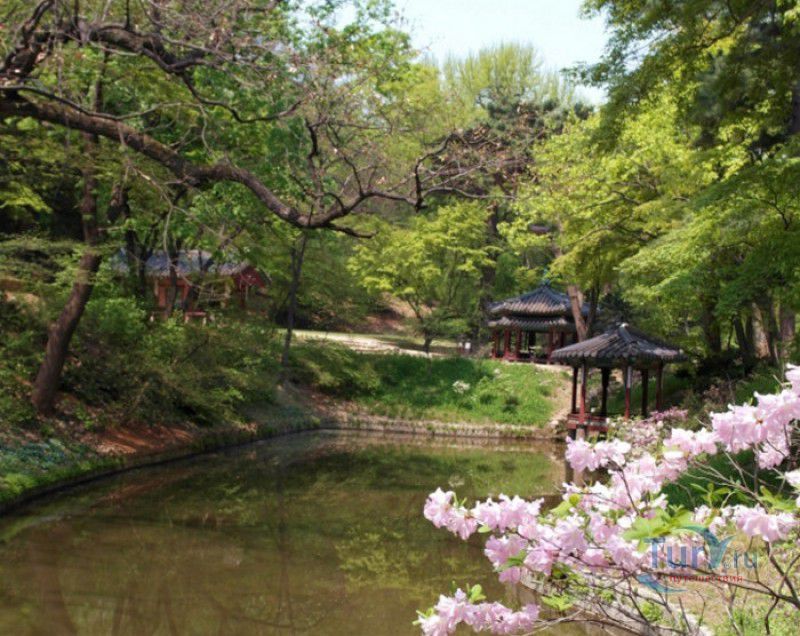 Дворцовый Комплекс Чхандоккун