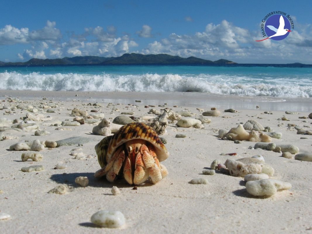 Особый заповедник острова Арид