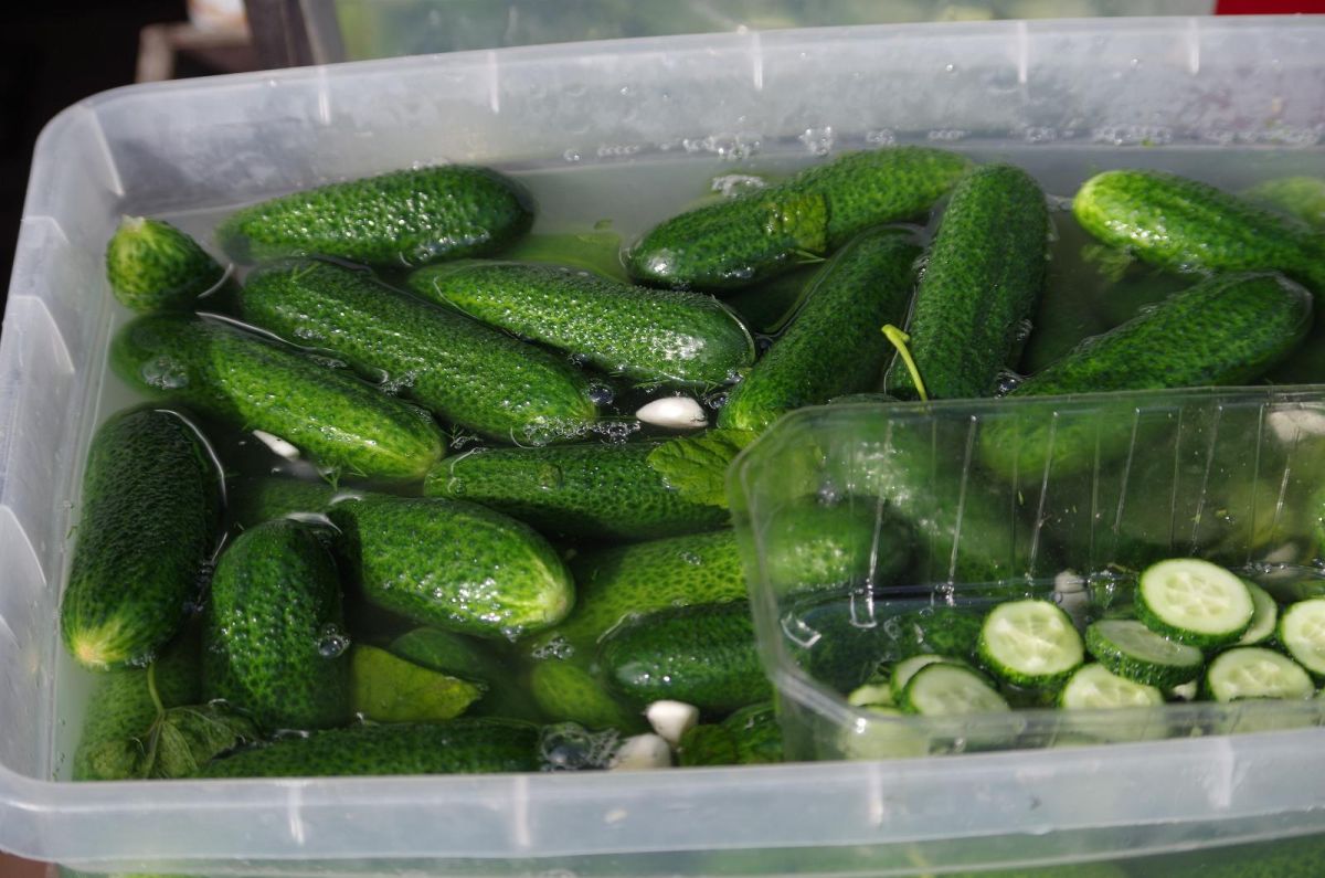 Центральный рынок Тарту