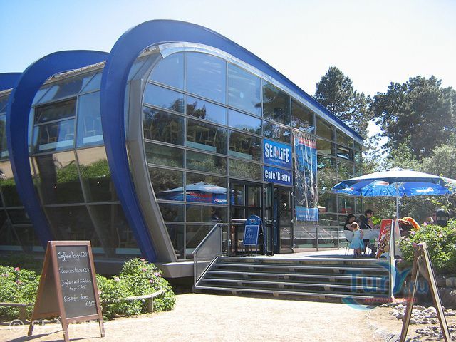 Центр морской жизни Sea Life