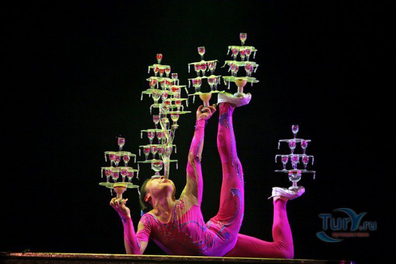 Всемирный Шанхайский Цирк