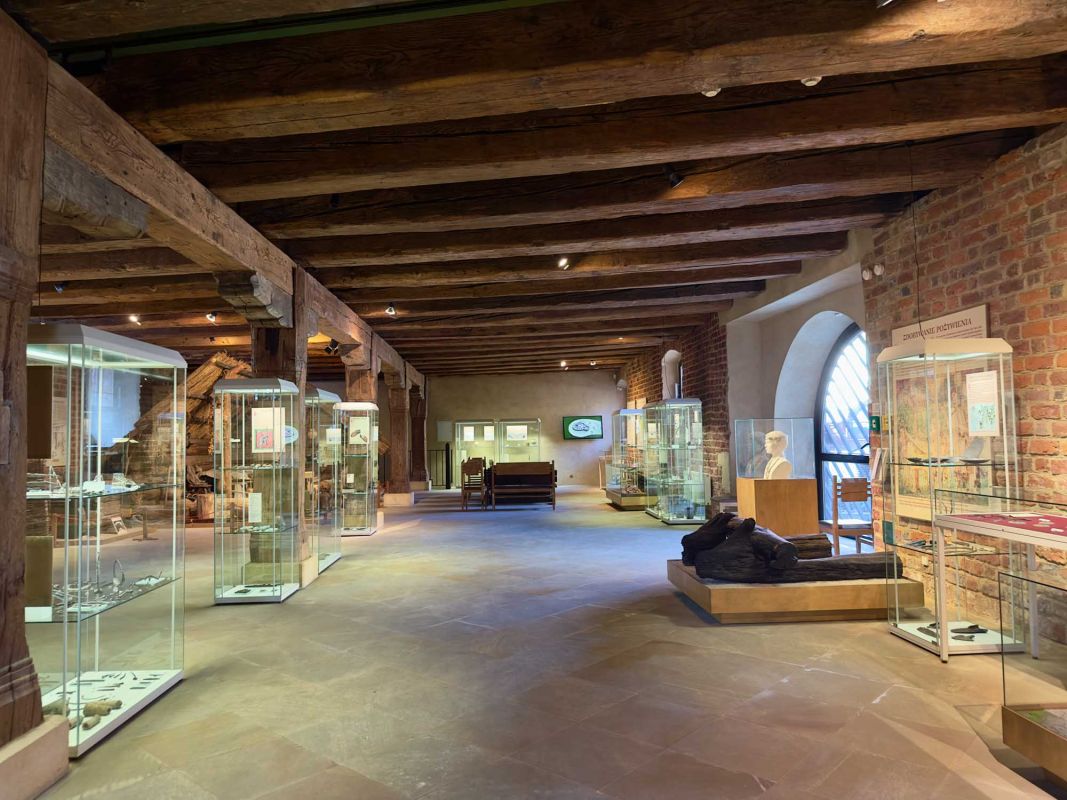 Вроцлавский археологический музей