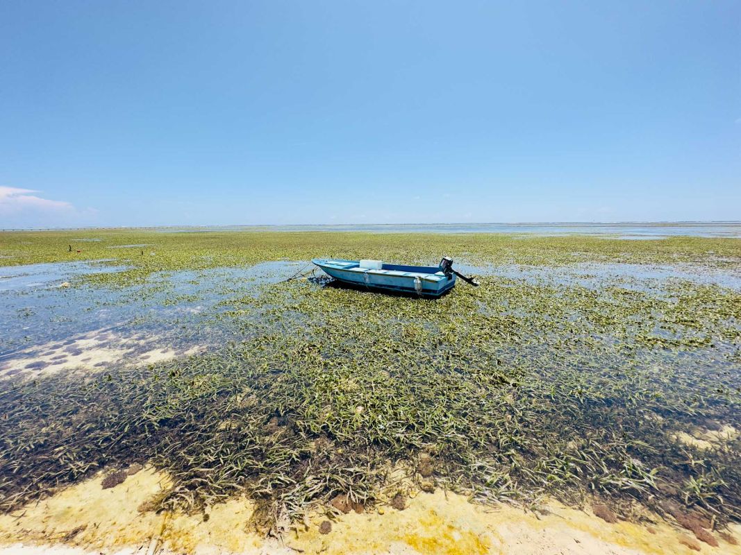 Маафуши Планктон Бич