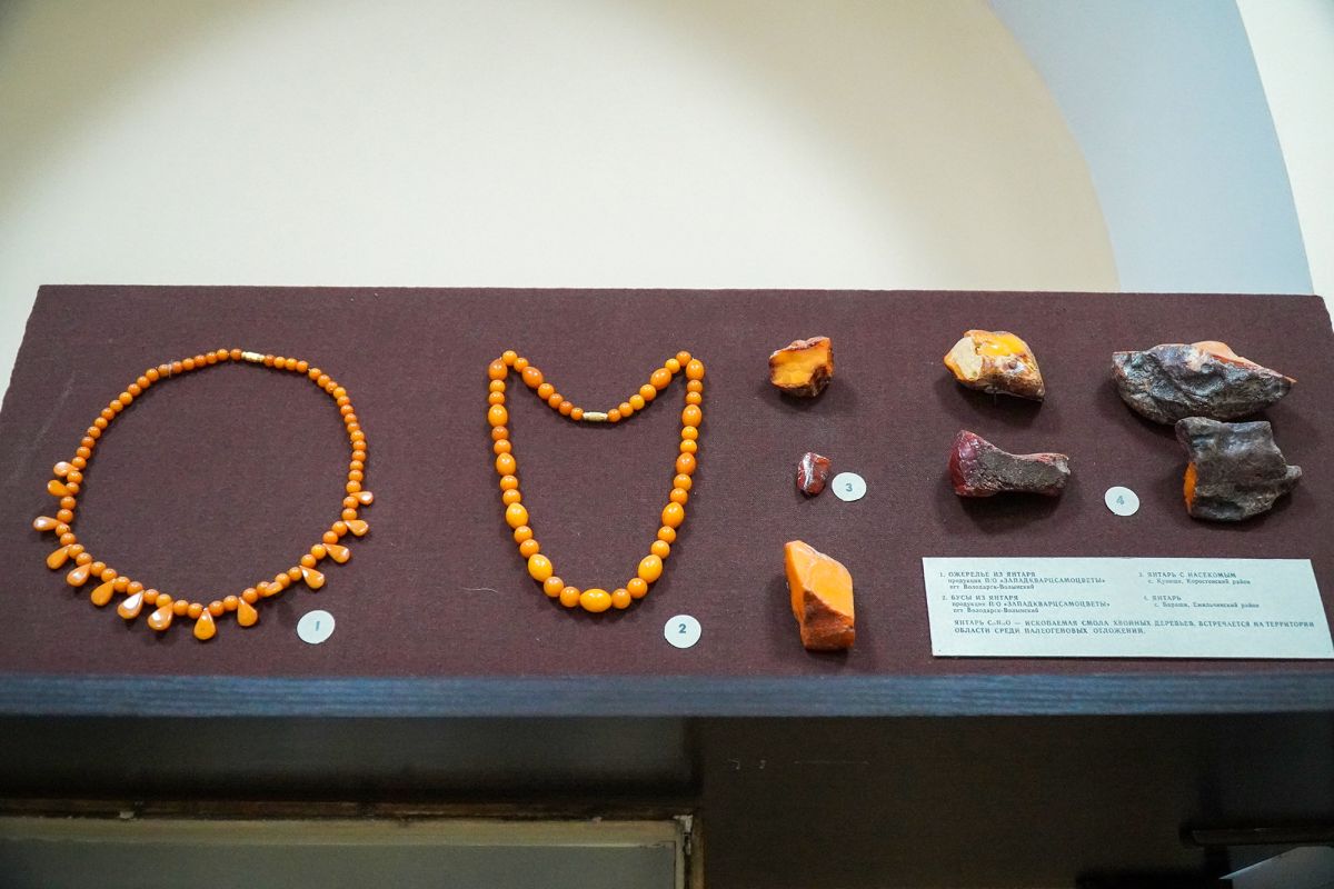 Житомирский музей природы