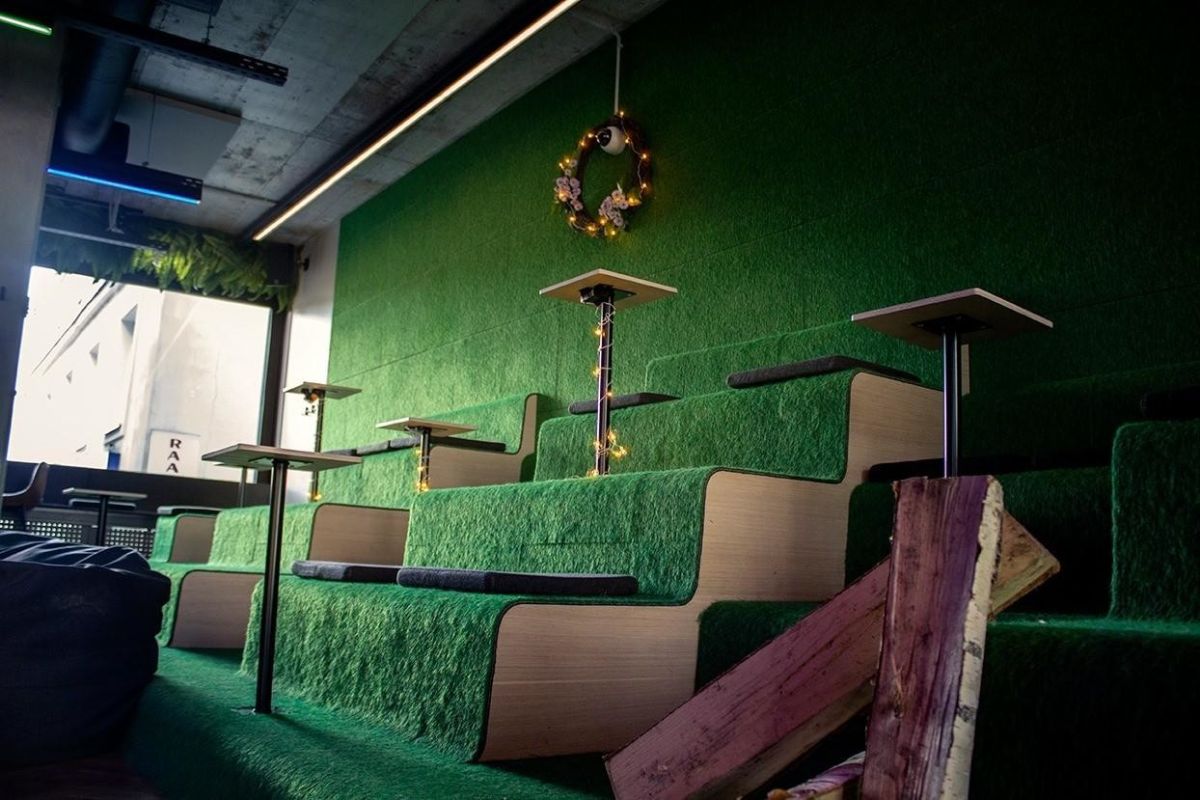 Forrest в Тарту