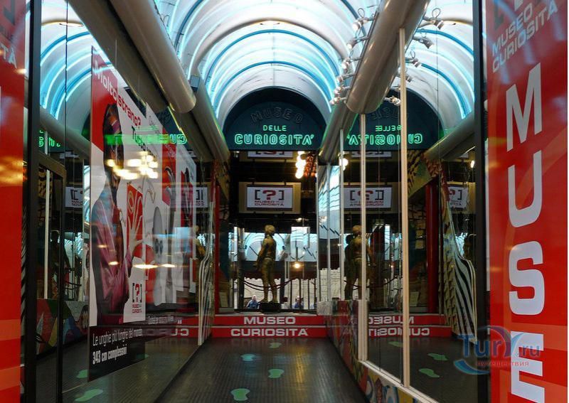 Музей курьезов