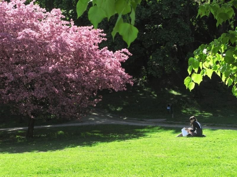 Памятник Николаю Пирогову