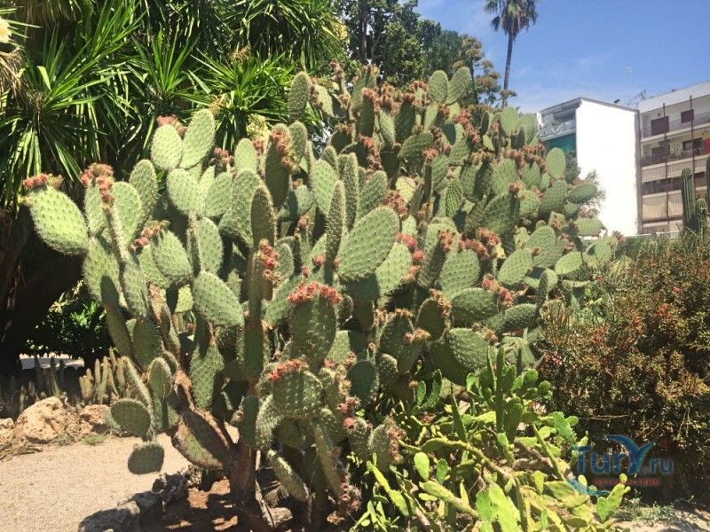 Ботанический Сад Валенсии