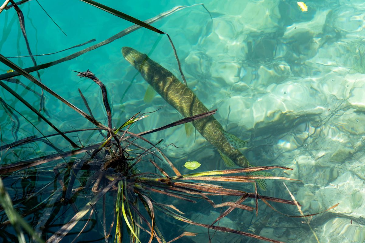 Национальный парк Плитвицкие озера