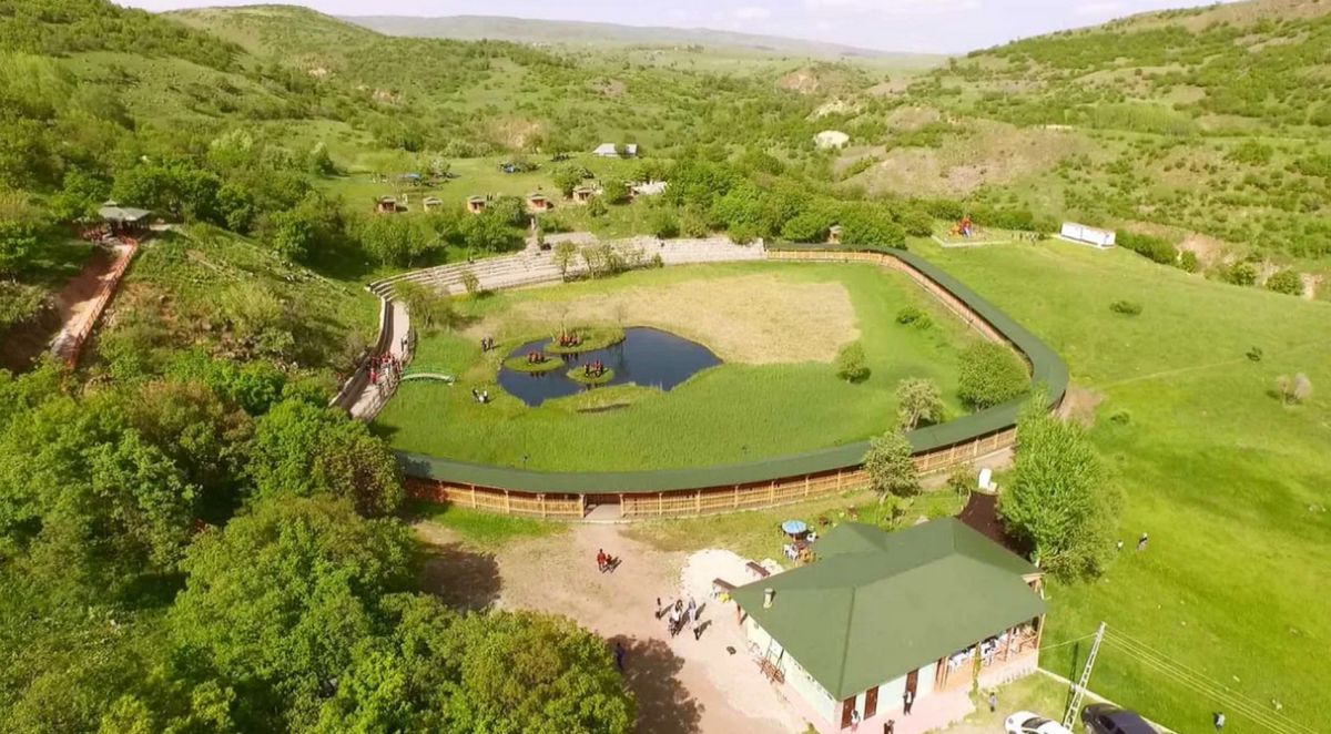 Плавучие острова