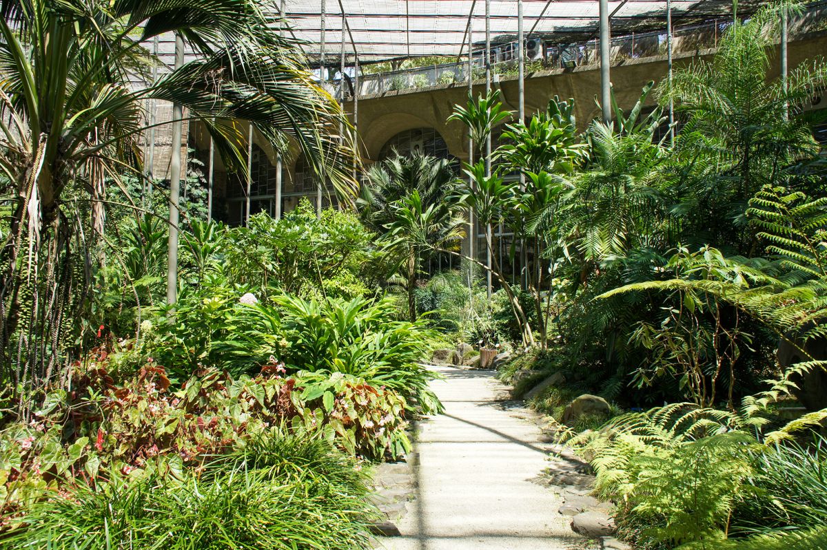 Парк Эдварда VII и Эстуфа Фриа 