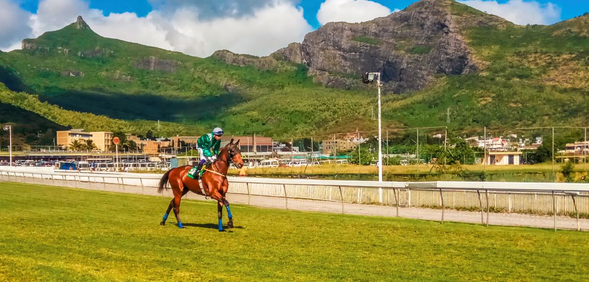 Ипподром Марсово Поле