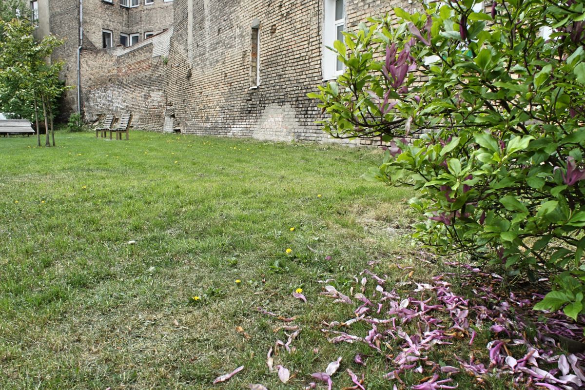 Сад Идей (Idėjų Sodas)