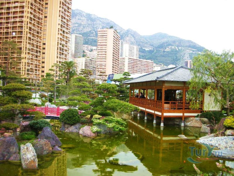 Королевский Японский сад