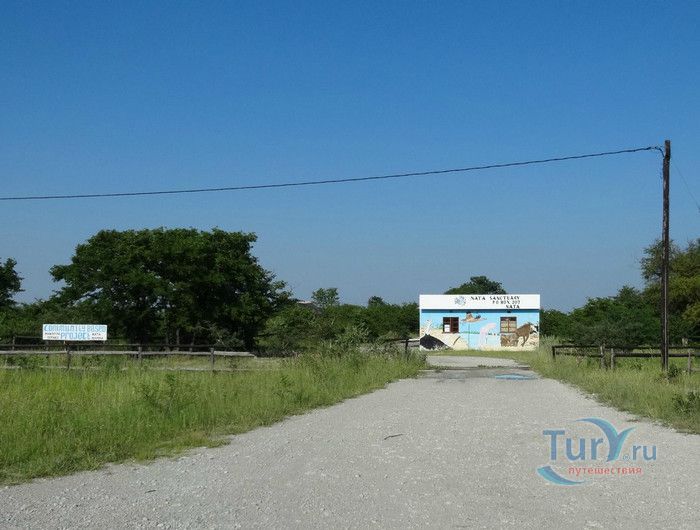 Птичий Заповедник Ната