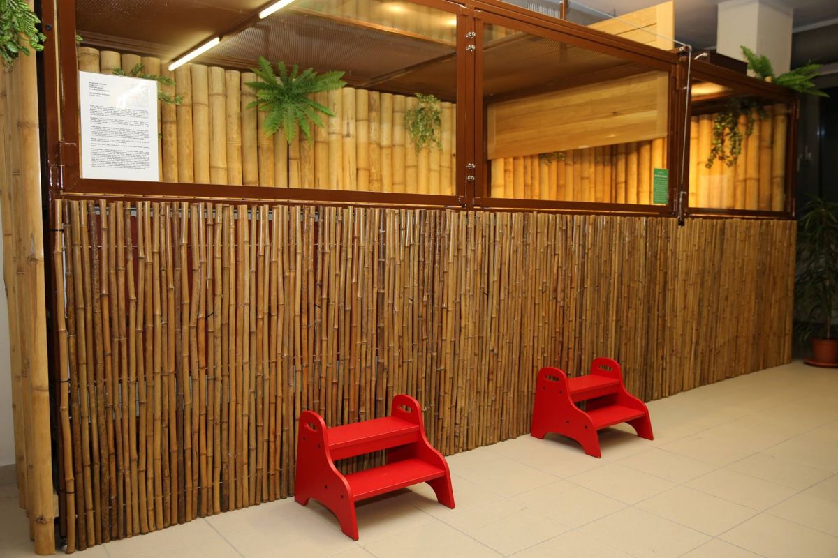 Krokodýlí zoo Praha