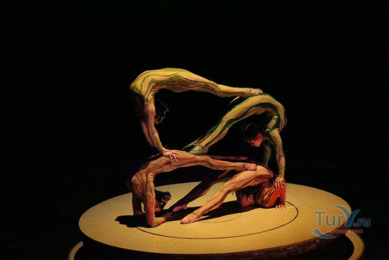 Всемирный Шанхайский Цирк