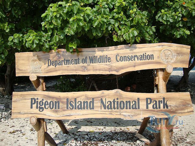 Коралловый остров Пиджеон