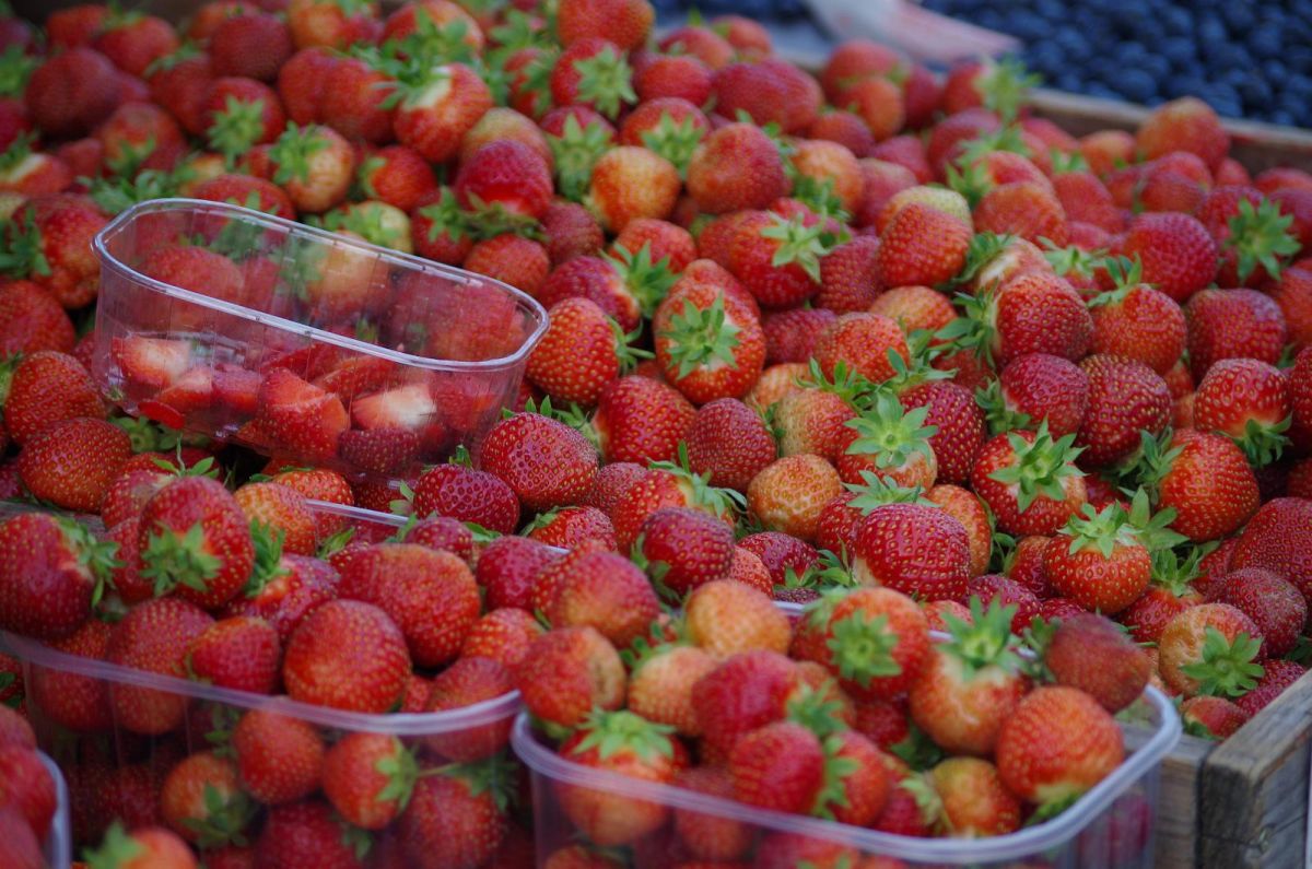 Центральный рынок Тарту