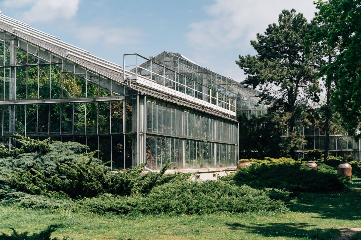 Познаньский ботанический сад