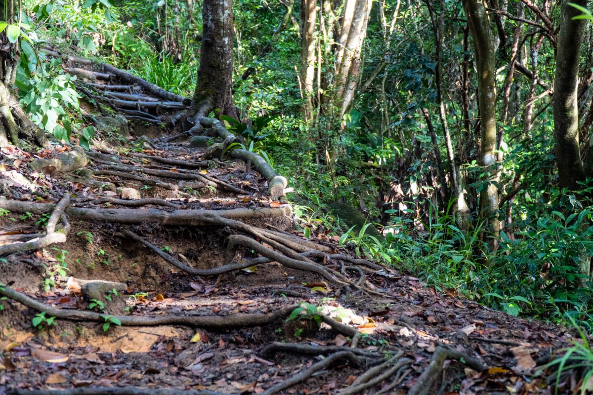 Морн Блан Трейл