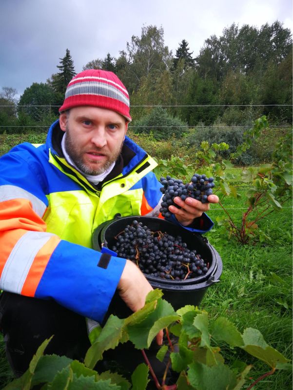 Сидровая ферма Тори