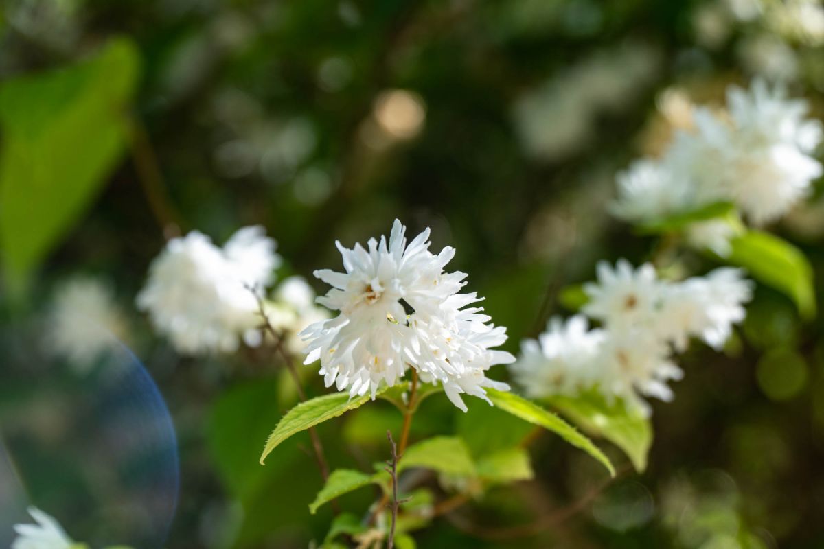 Ботанический сад Валенсии