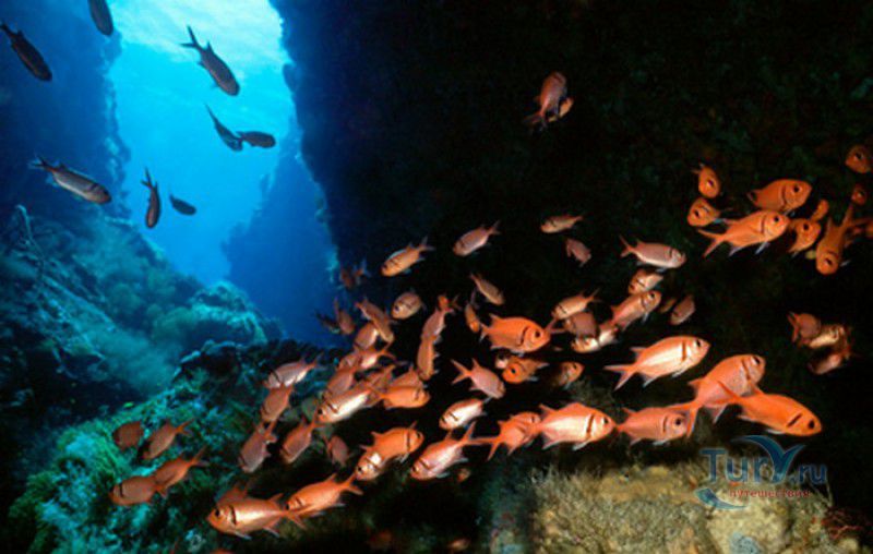 Скоттс Хеад Пинакл