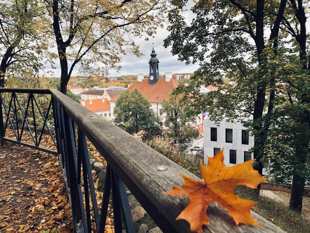 Монумент Фридриху Георгу Вильгельму Струве