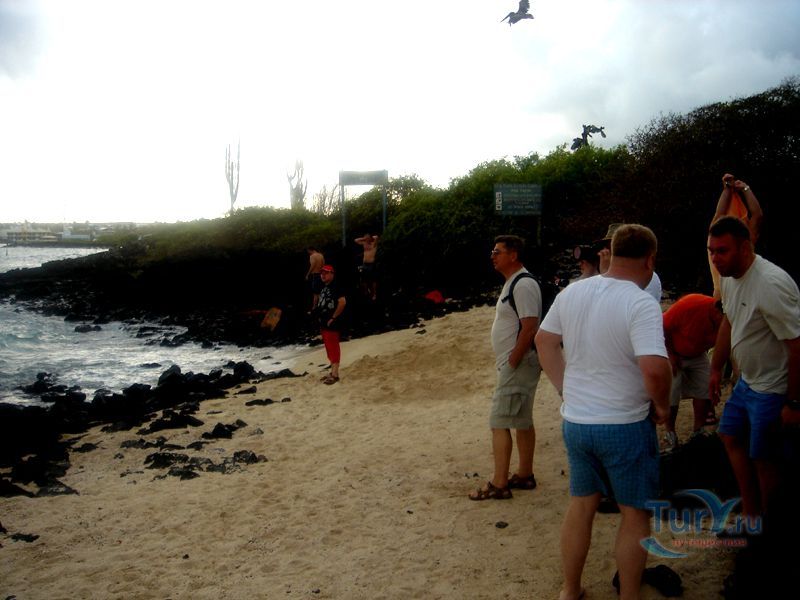 Пляж у Станции Чарльза Дарвина